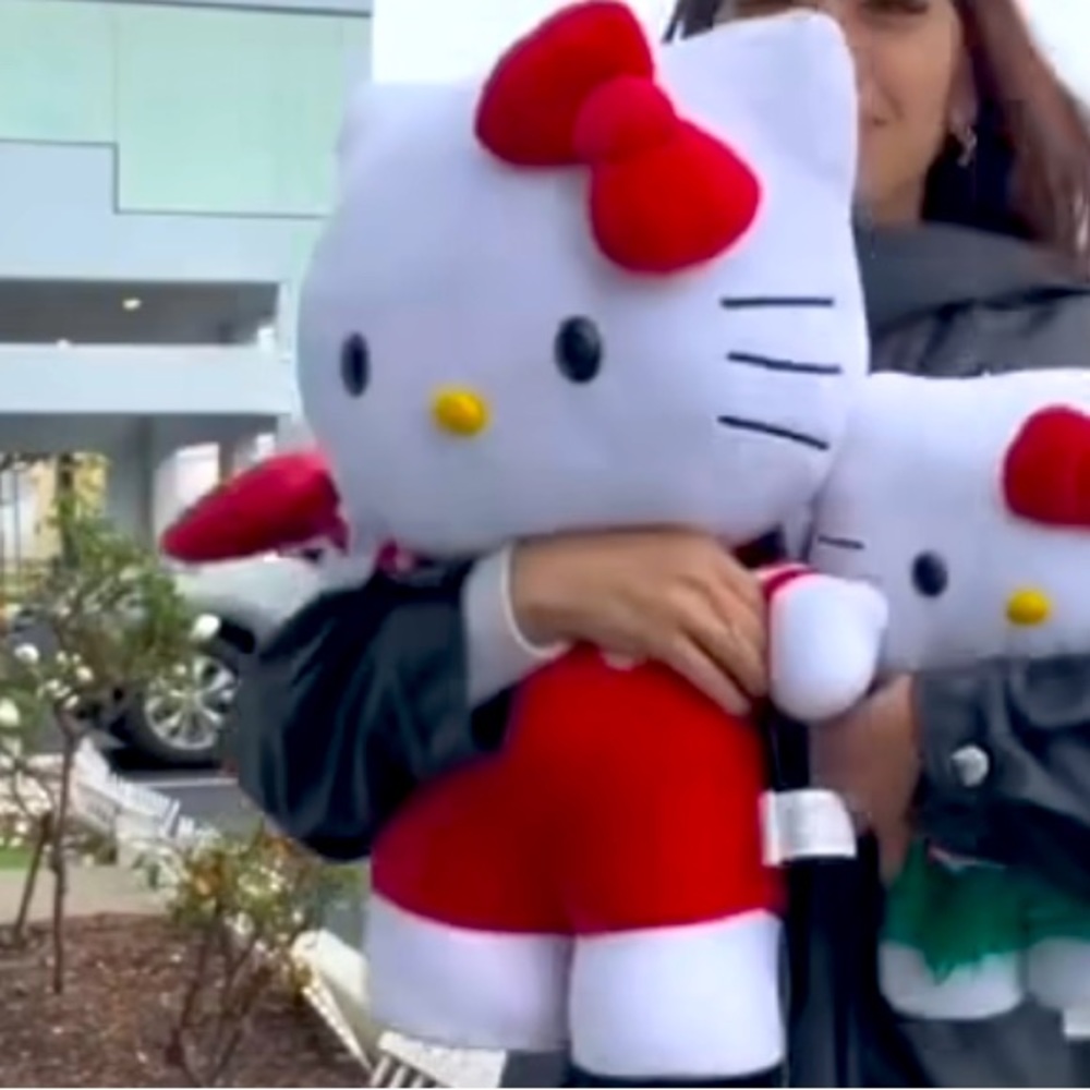Hello kitty Greeter